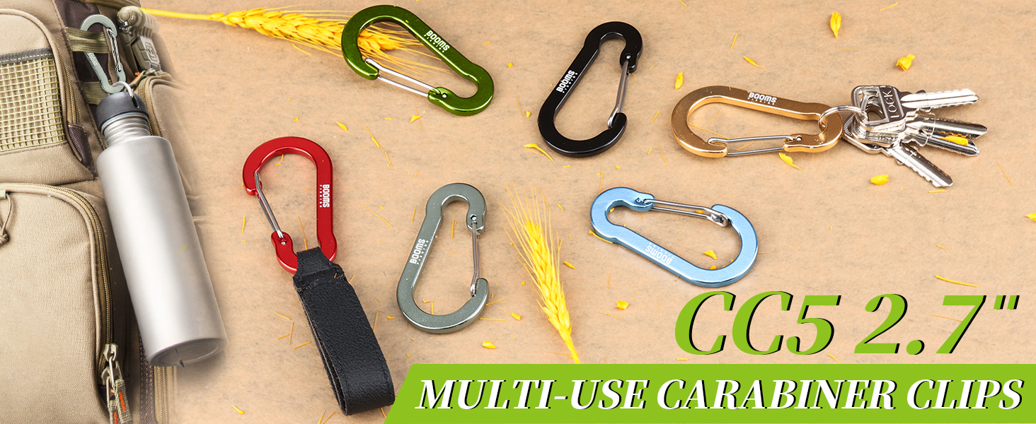 Best Carabiners for Backpacking in 2025 That Make Packing Easy