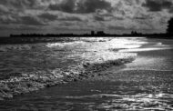 Nikon Z8 Review: Pro Photographer’s Verdict After 10,000 Images