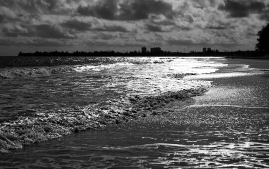 Nikon Z8 Review: Pro Photographer’s Verdict After 10,000 Images