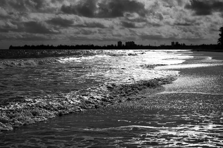 Nikon Z8 Review: Pro Photographer’s Verdict After 10,000 Images Nikon Z8 Review: Pro Photographer’s Verdict After 10,000 Images