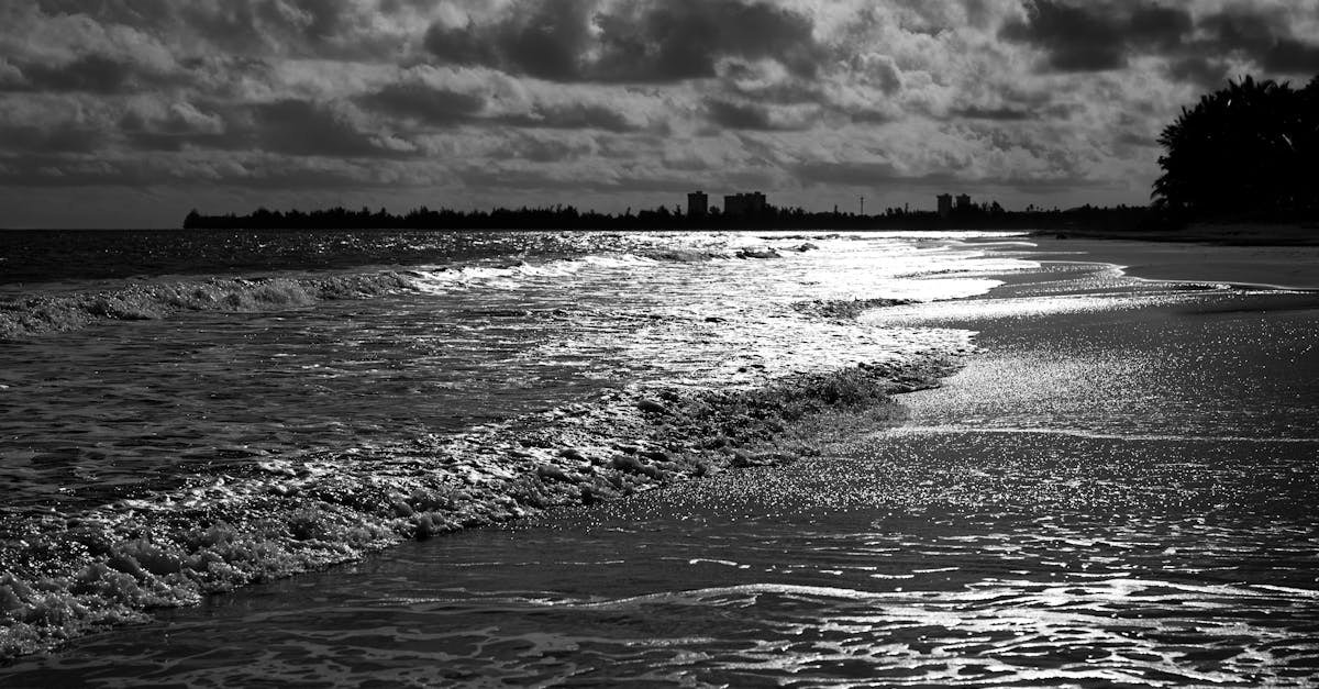 Nikon Z8 Review: Pro Photographer’s Verdict After 10,000 Images