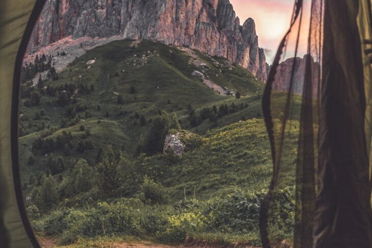 Top Rated Trail Shoes 2025: Best Picks for Comfort, Grip & Durability