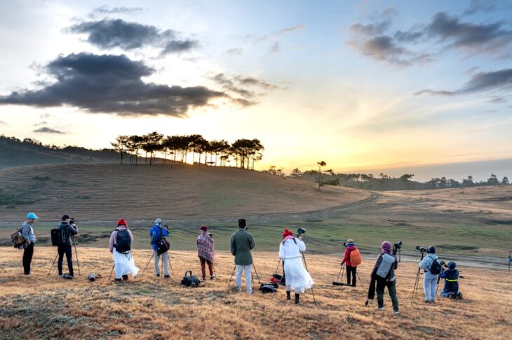 Top Budget-Friendly Travel Tripods for Lightweight, Stable, and Affordable Photography Gear