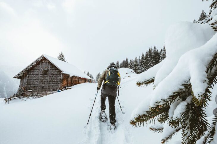 Top Foldable Snowshoes for 2025: Lightweight, Portable Winter Hiking Gear