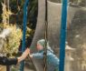 Trampoline Safety Nets Replacements: A Parent’s Guide to Keeping Kids Safe