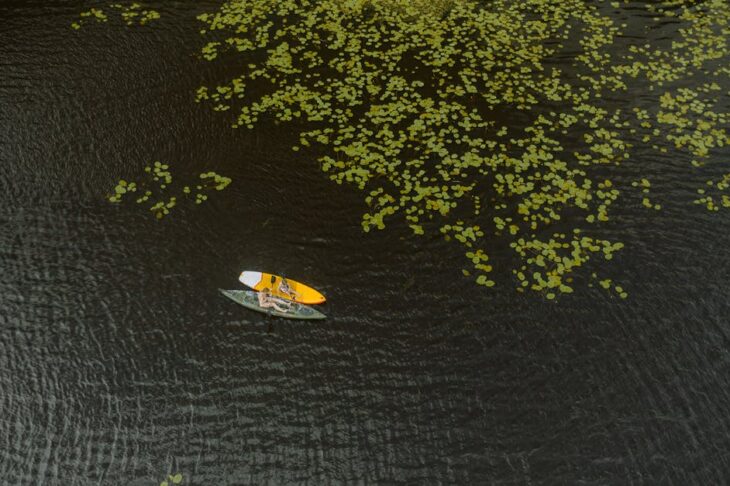 Top Rated Paddle Boards 2025: Best Picks for Every Skill Level and Budget