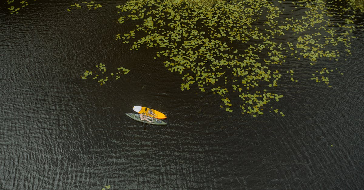 Top Rated Paddle Boards 2025: Best Picks for Every Skill Level and Budget