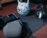 Kettlebell vs Dumbbell for Weight Loss: Which Is Best for Your Fat-Burning Workout?