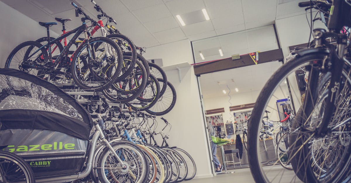 Hybrid Bikes for Beginners: The Ultimate Guide to Choosing Your First Bike
