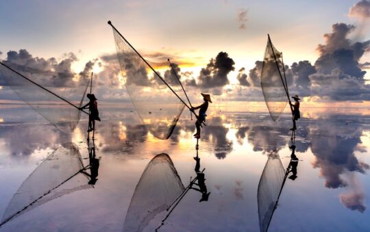 Travel Hammocks with Mosquito Nets: Comfort & Protection for Outdoor Adventures