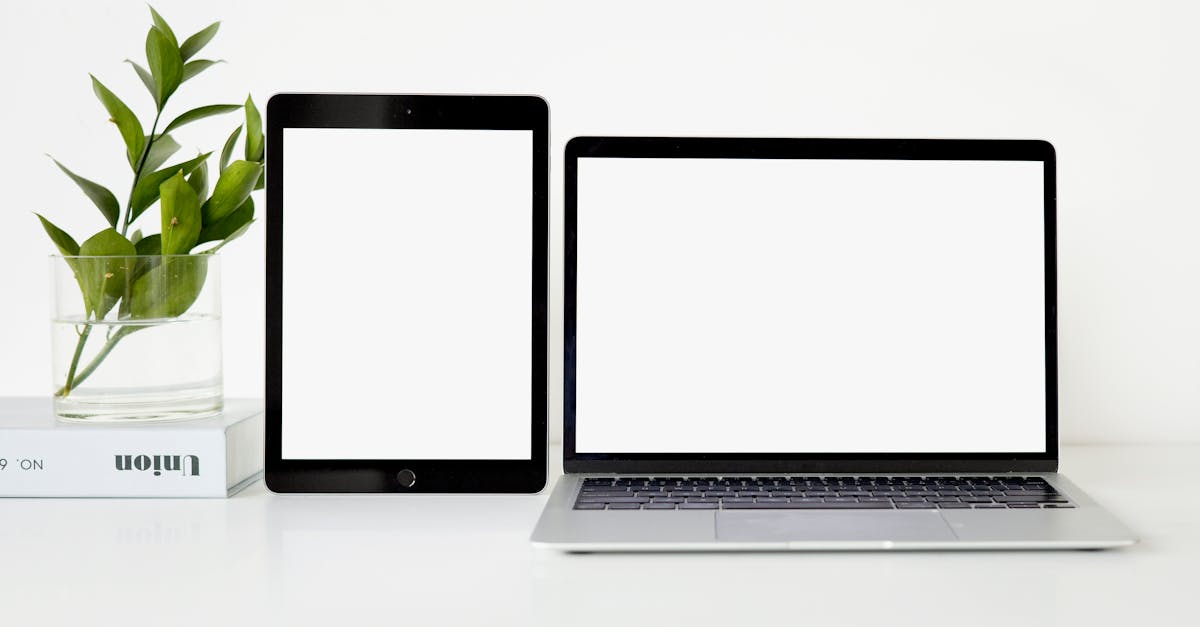 Top Bouldering Crash Pad Brands for Safety, Comfort & Durability in 2024