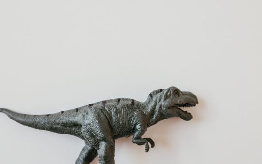 Mini Trampolines for Indoor Play: Fun, Fitness, and Family-Friendly Active Time