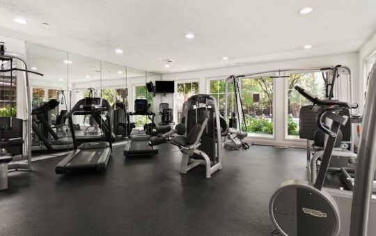 Home Gym Mirrors with Feedback: Smart Coaching for Effective Workouts at Home