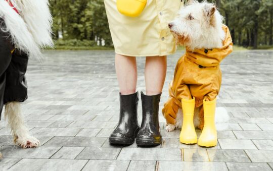 Best Waterproof Hiking Boots for Women: Stay Dry, Comfortable & Stylish on Any Trail