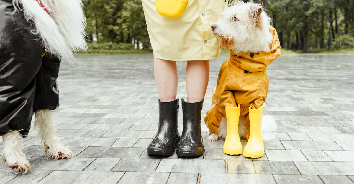 Best Waterproof Hiking Boots for Women: Stay Dry, Comfortable & Stylish on Any Trail