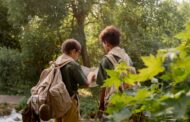 Top Hiking Backpacks for Kids Under 10: Comfortable, Durable, and Perfect Fit for Young Explorers