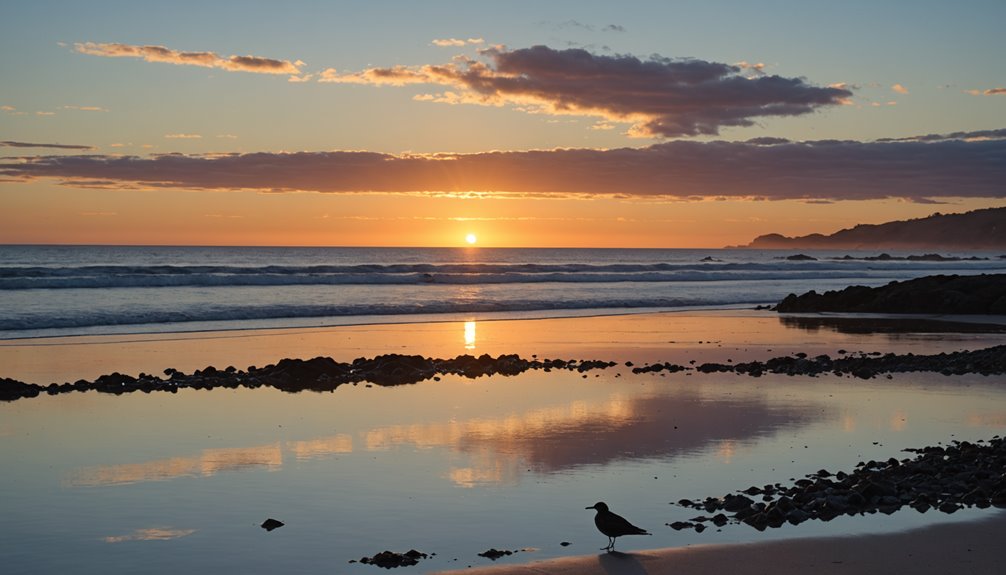 premier sunrise viewing beaches
