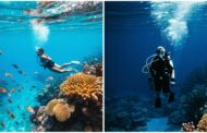 Snorkeling Vs Scuba Diving – What to Try First