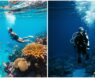 Snorkeling Vs Scuba Diving – What to Try First