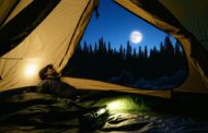 What to Do When You Hear Sounds Outside Your Tent